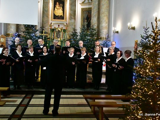 Pasterki w gminie Biłgoraj