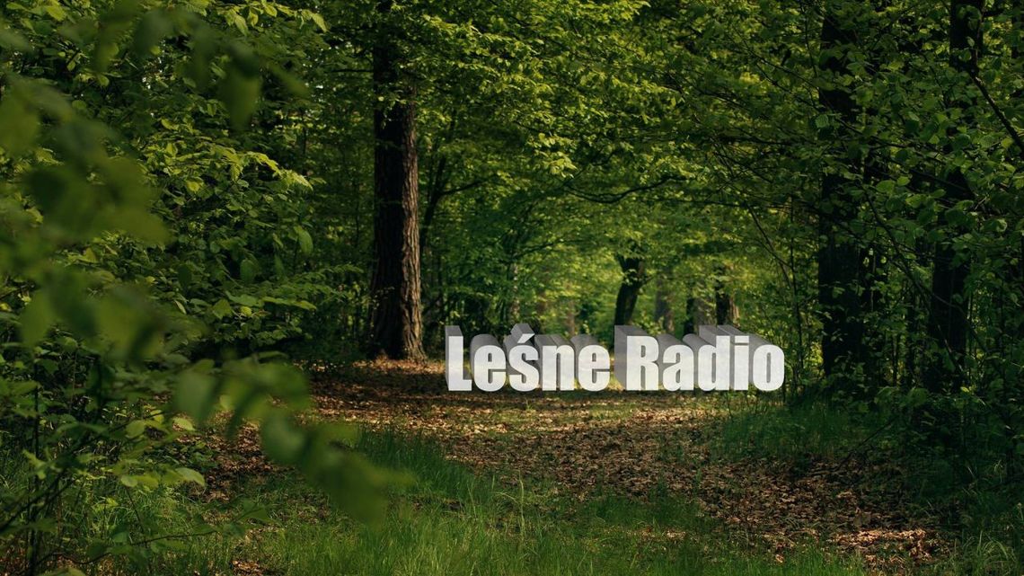 Leśne Radio